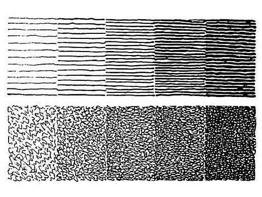 谭伯虎说画-钢笔画入门到精通零基础必看
