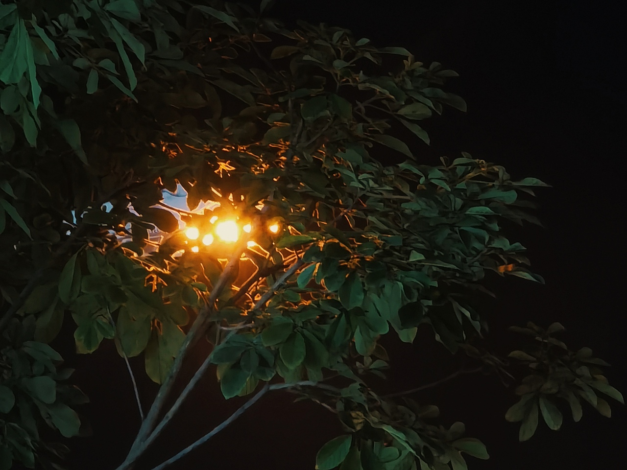 日出日落（图ZMzUyNDY1NDY0） - 风光摄影 - 站酷设计师园游会有缘原创素材 - 站酷ZCOOL