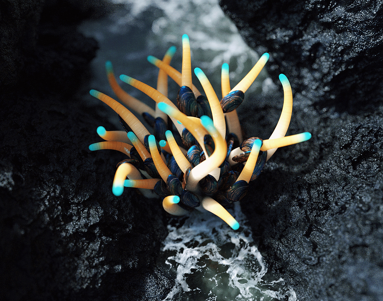 C4D Daily Render series 04