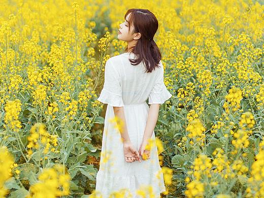 一起去看油菜花吧