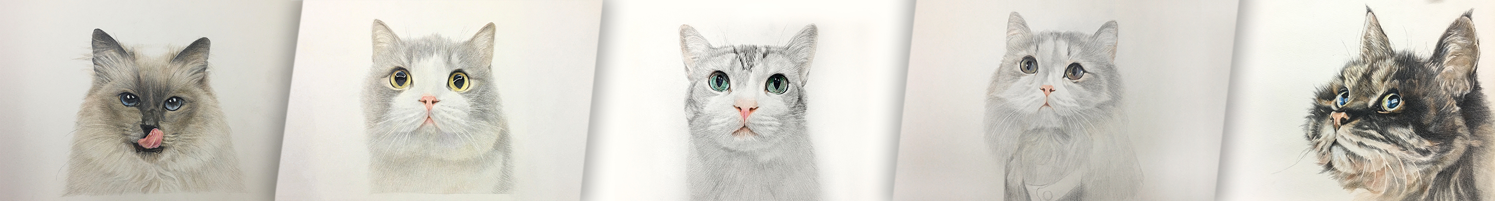 才子喜欢画猫的个人主页（封面预览） - 主页封面设置 - 站酷设计师才子喜欢画猫原创素材 - 站酷ZCOOL