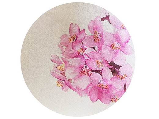 【驴大萌水彩教程037】手绘樱花 