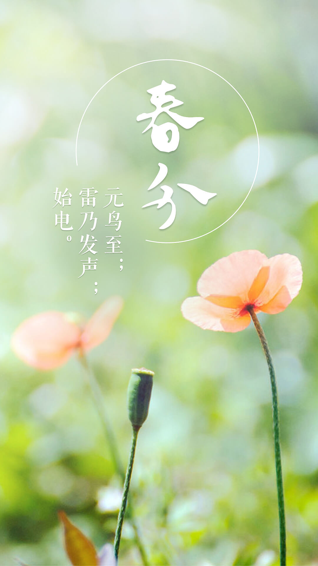 24节气（图ZNDU3NTY0NTY=） - 其他网页 - 站酷设计师小米妹妹原创素材 - 站酷ZCOOL