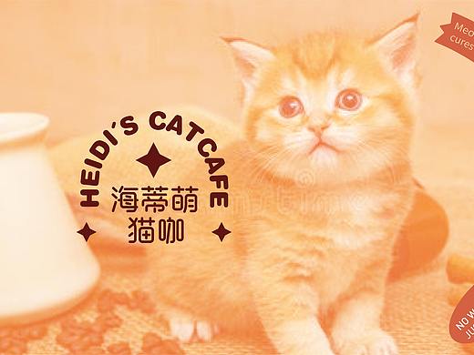 海蒂萌猫咖-提案