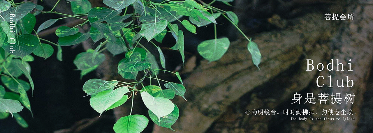 【菩提会所】品牌设计(菜单/易拉宝设计)