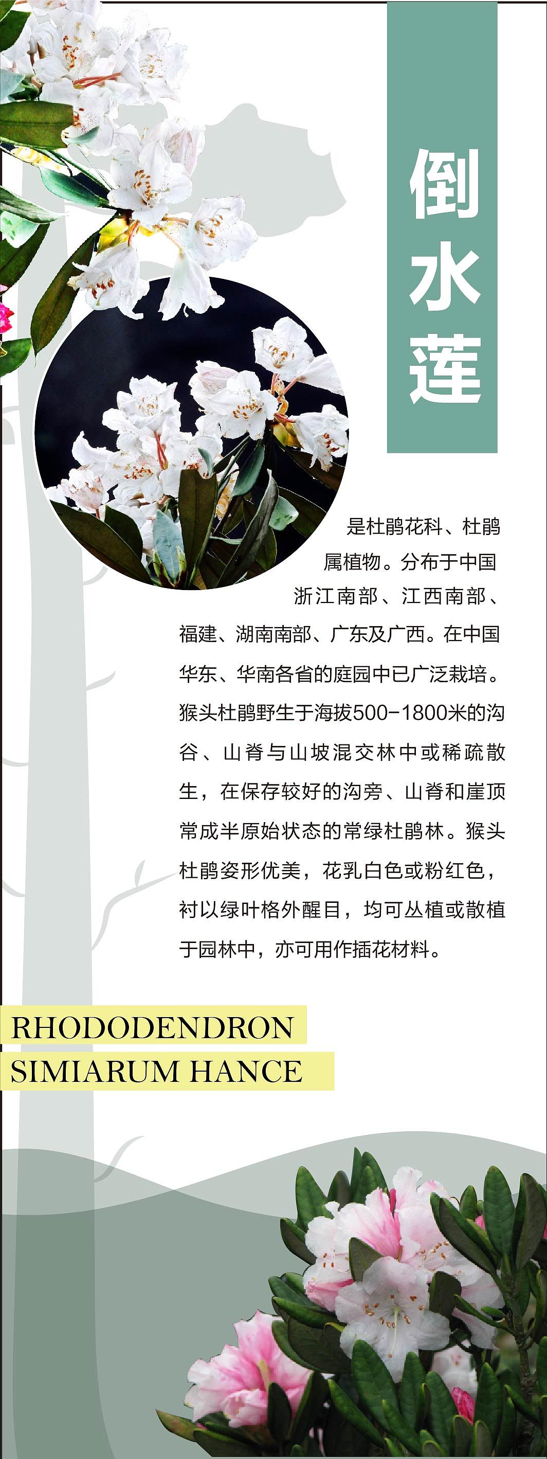 汀江源自然教育馆（图ZMjcyMTg2ODM2） - 其他平面 - 站酷设计师酷酷的大沈原创素材 - 站酷ZCOOL