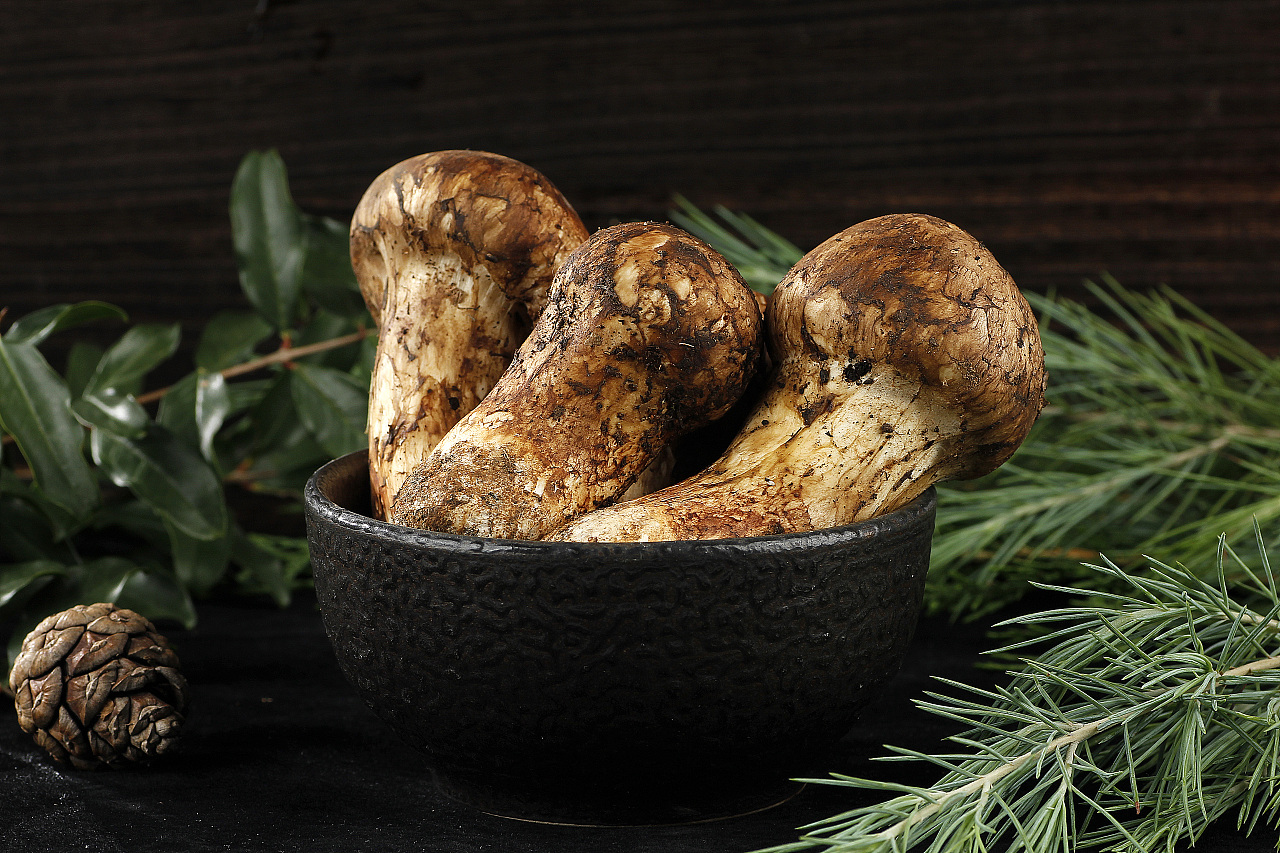 鲜松茸菌蘑菇 1公斤新鲜松茸云南产地批发鲜松茸7-9cm食用菌食材-阿里巴巴