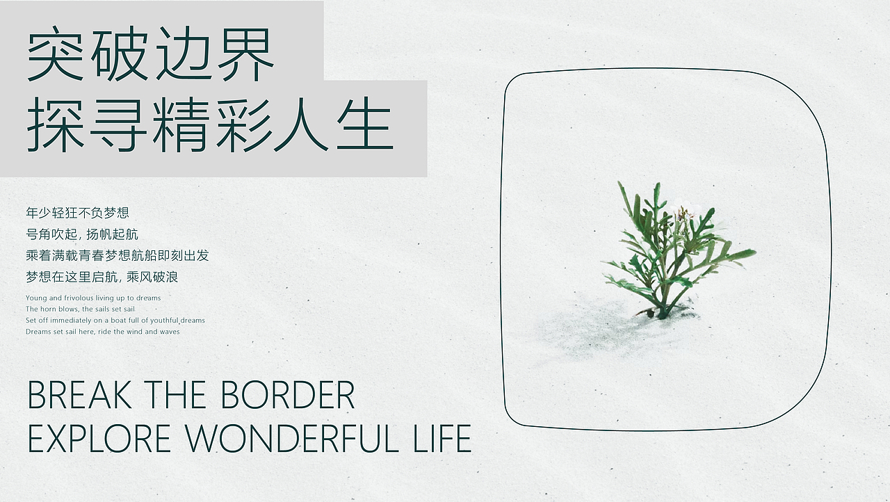 【VI设计】教育品牌VI/LOGO - 东博教育