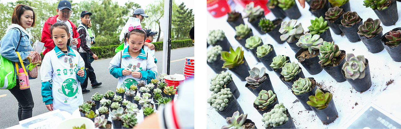 2019亲子环保徒步行视觉设计