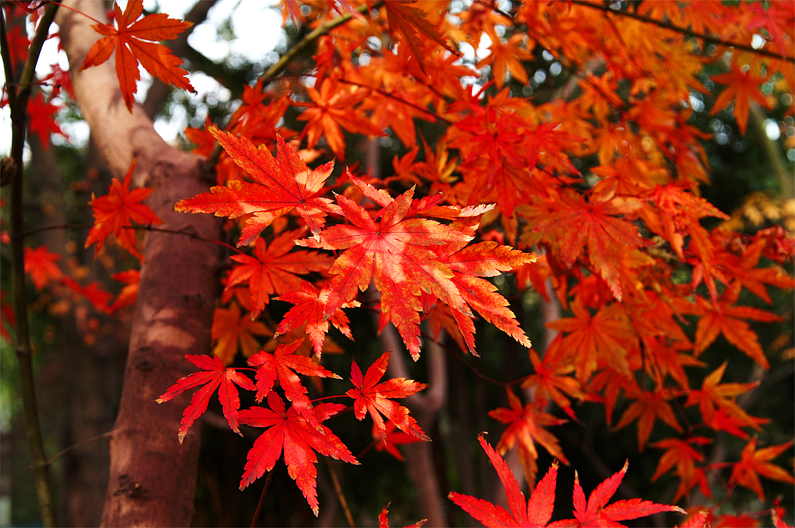 某个逝去的冬天--2010 冬