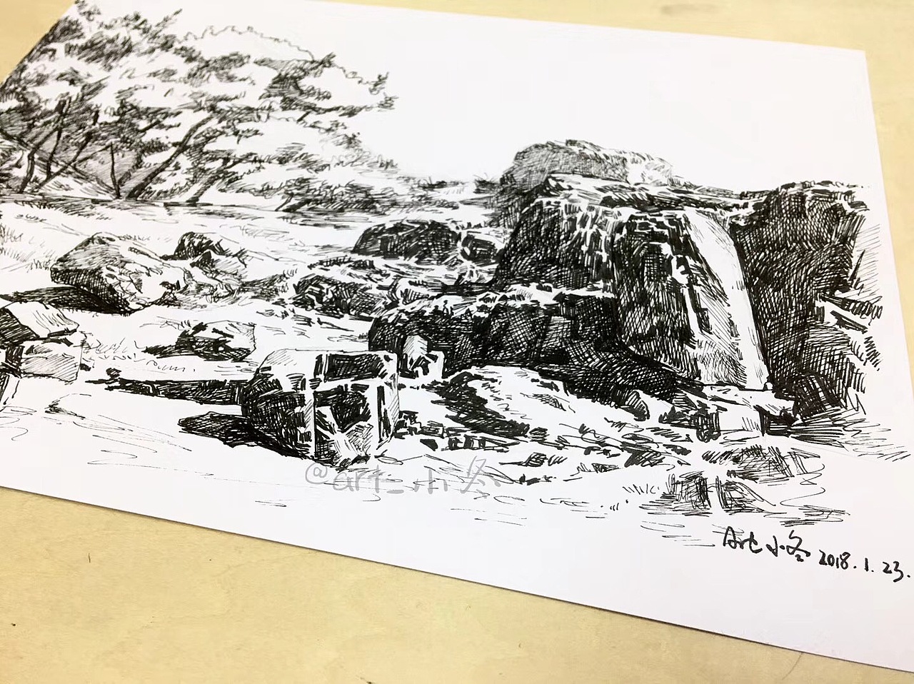 速写风景《石头和树》