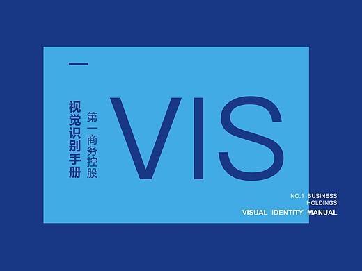 VI手册