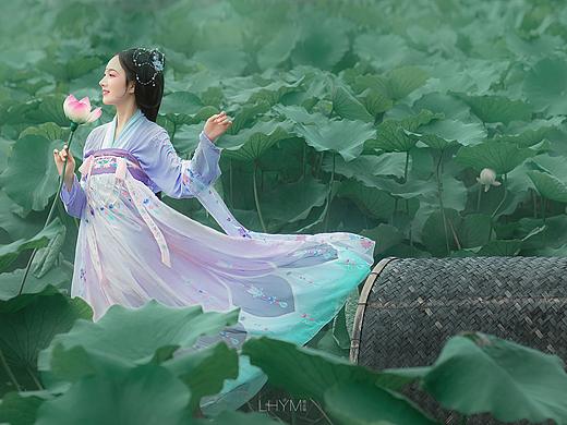 荷花莲词