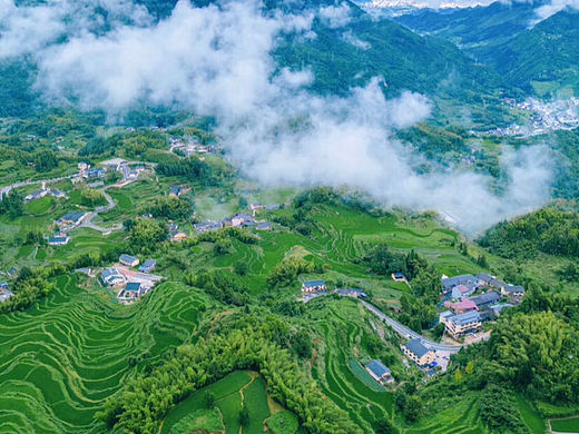 若无执念在心头，人生何处不清欢。