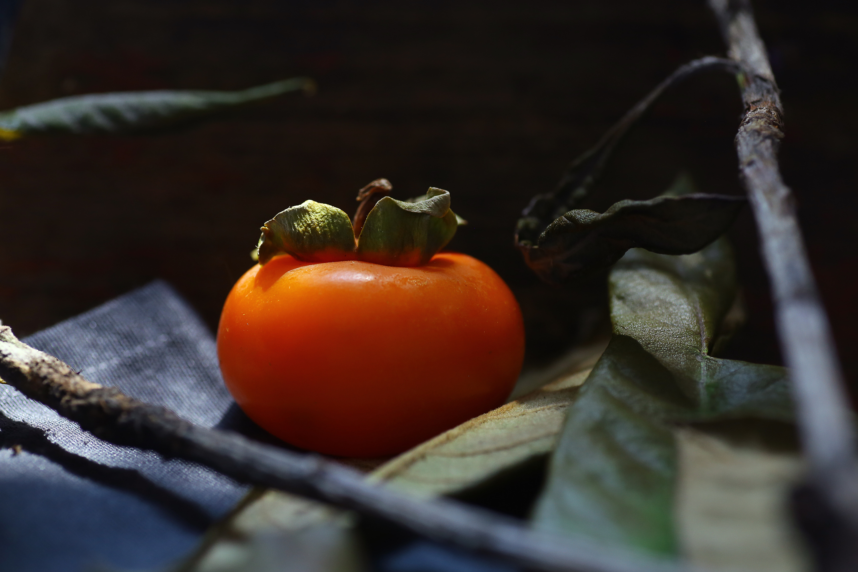 深秋的柿子|摄影|静物|beirou1234567 - 原创作品 - 站酷 (ZCOOL)