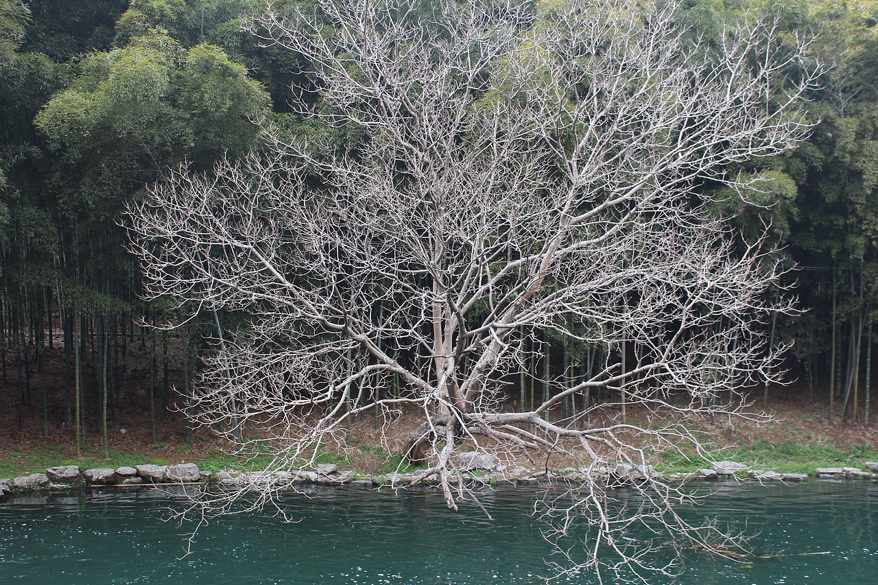 自制桌面秀（图ZMjg0MjMyOTY=） - 风光摄影 - 站酷设计师小峰峰1900原创素材 - 站酷ZCOOL