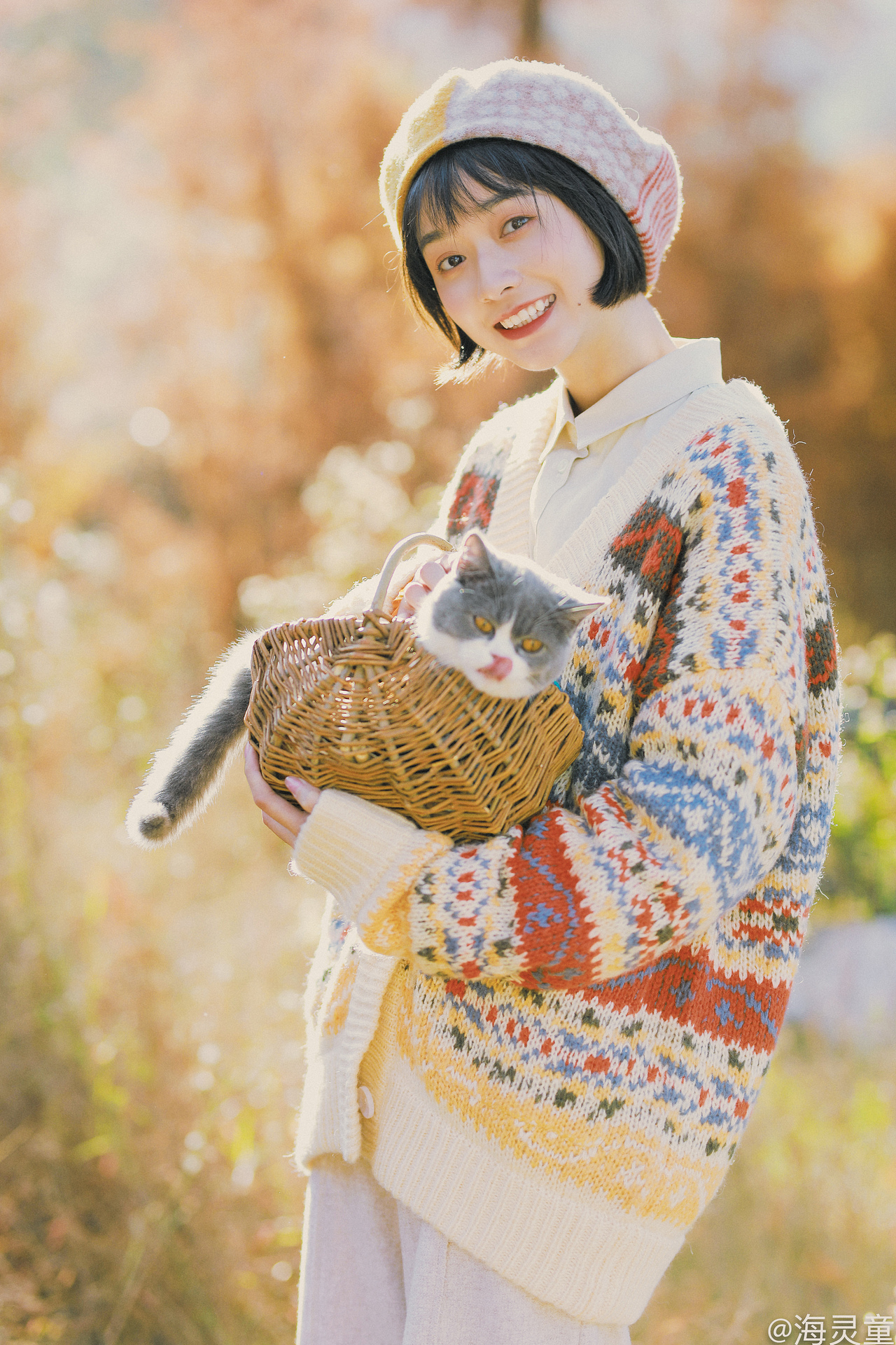 《暖秋遛猫记》