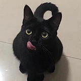 热晕的李大萌的头像