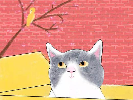 胖乎乎的小貓咪（個人主頁-ZNTQ1MjA0Mjg=） - 兒童插畫 - 站酷設(shè)計師呆狐狐D丿原創(chuàng)素材 - 站酷ZCOOL