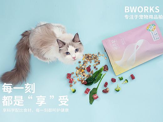 宠物用品拍摄-溯食粮 X 宠叔叔传媒