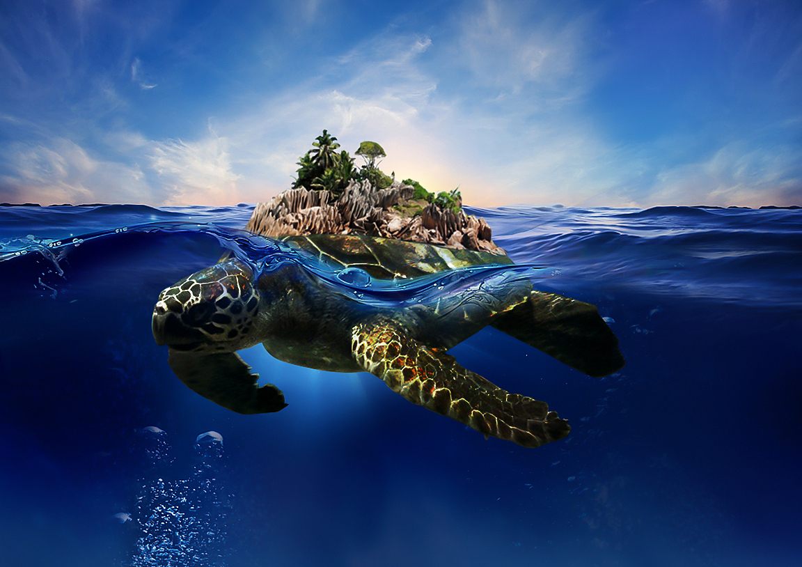 跨海神龟（图ZMzU3NDA0NTI=） - 宣传物料 - 站酷设计师zbeiping1984原创素材 - 站酷ZCOOL