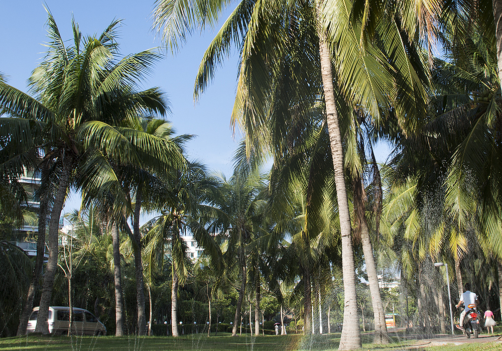 三亚三亚湾拍摄（图ZODEyNTExNjg=） - 风光摄影 - 站酷设计师宝藏凡原创素材 - 站酷ZCOOL