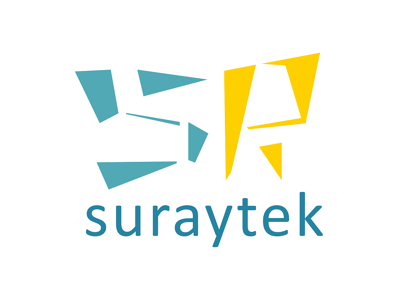 上海速瑞信息技术有限公司标志设计