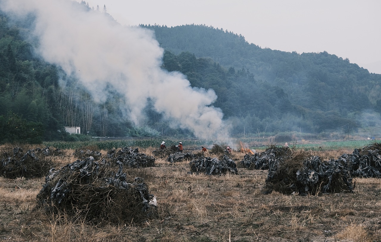 2021.（图ZMjg4NzMwNzQ0） - 人文/纪实摄影 - 站酷设计师泰革原创素材 - 站酷ZCOOL