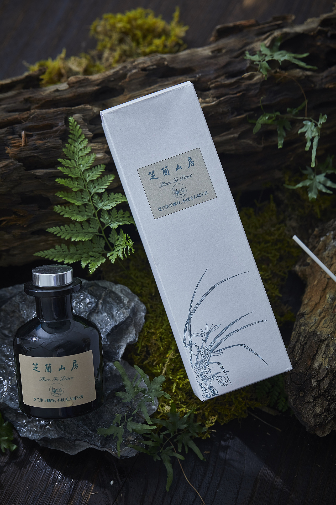 九月上（图ZMjcwNjk5MTIw） - 美食摄影 - 站酷设计师梅食间原创素材 - 站酷ZCOOL