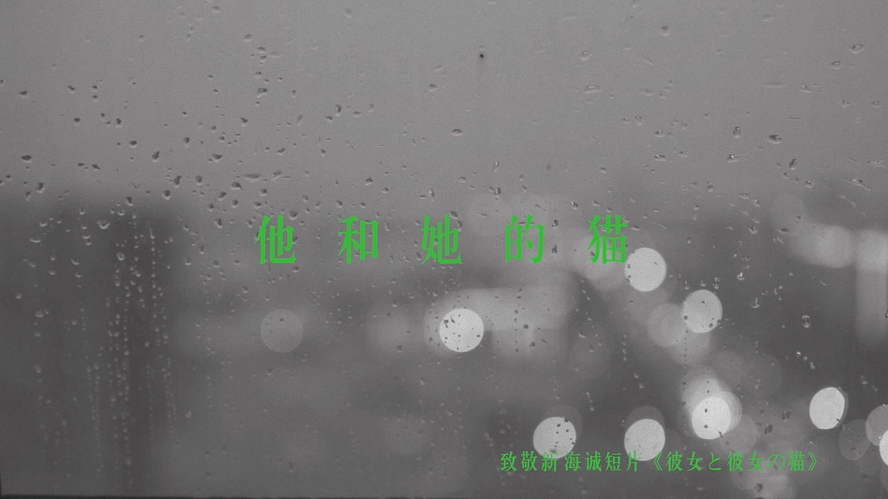 他和她的猫(自编自导)