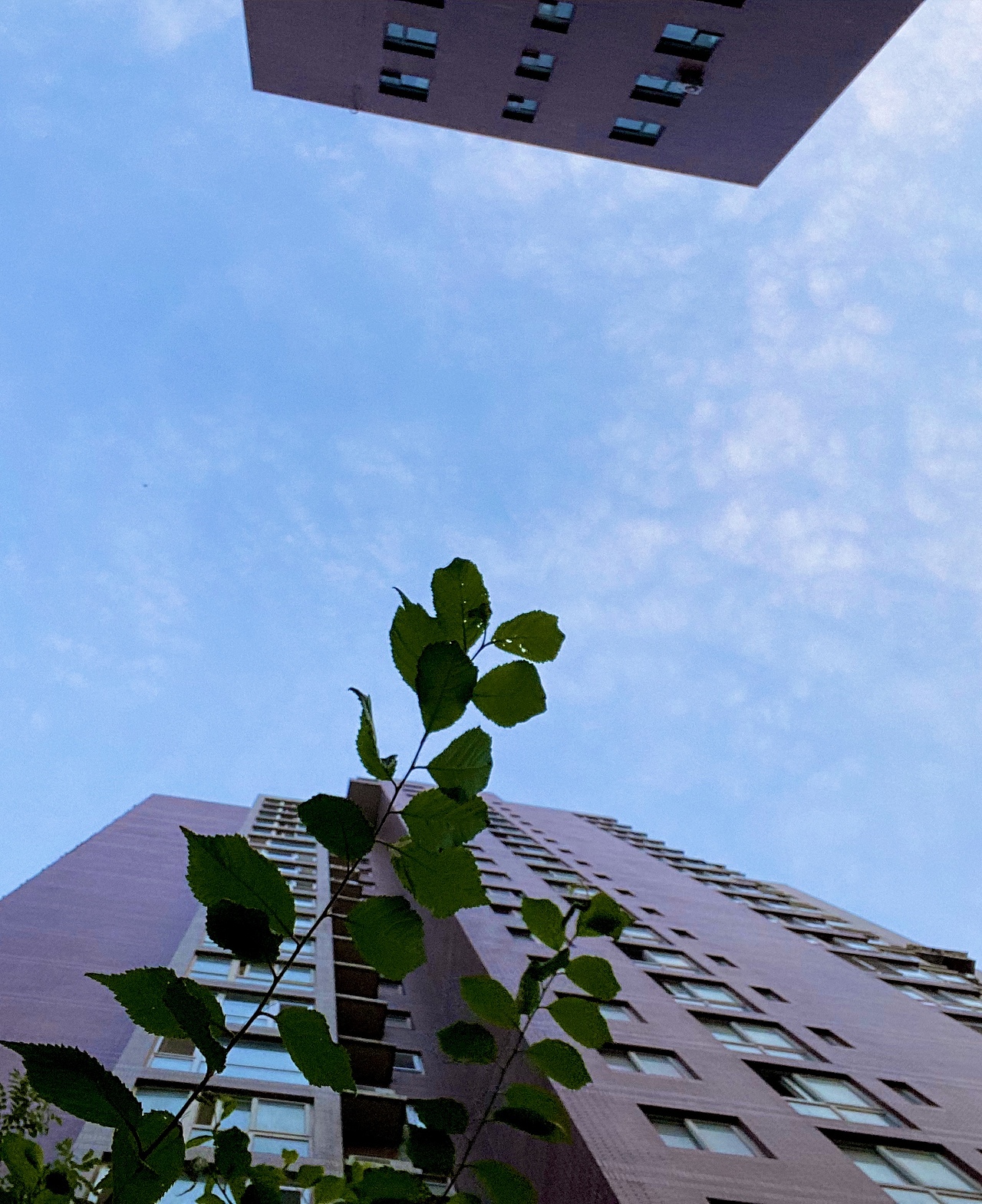 手机摄影-城市风光（图ZMjIzNjA2MTky） - 环境/建筑摄影 - 站酷设计师灰鸡说原创素材 - 站酷ZCOOL