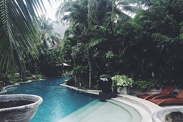 偏方: 榴莲配人妖