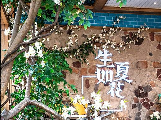 成都生如夏花泰式海鲜火锅设计--成都方糖设计