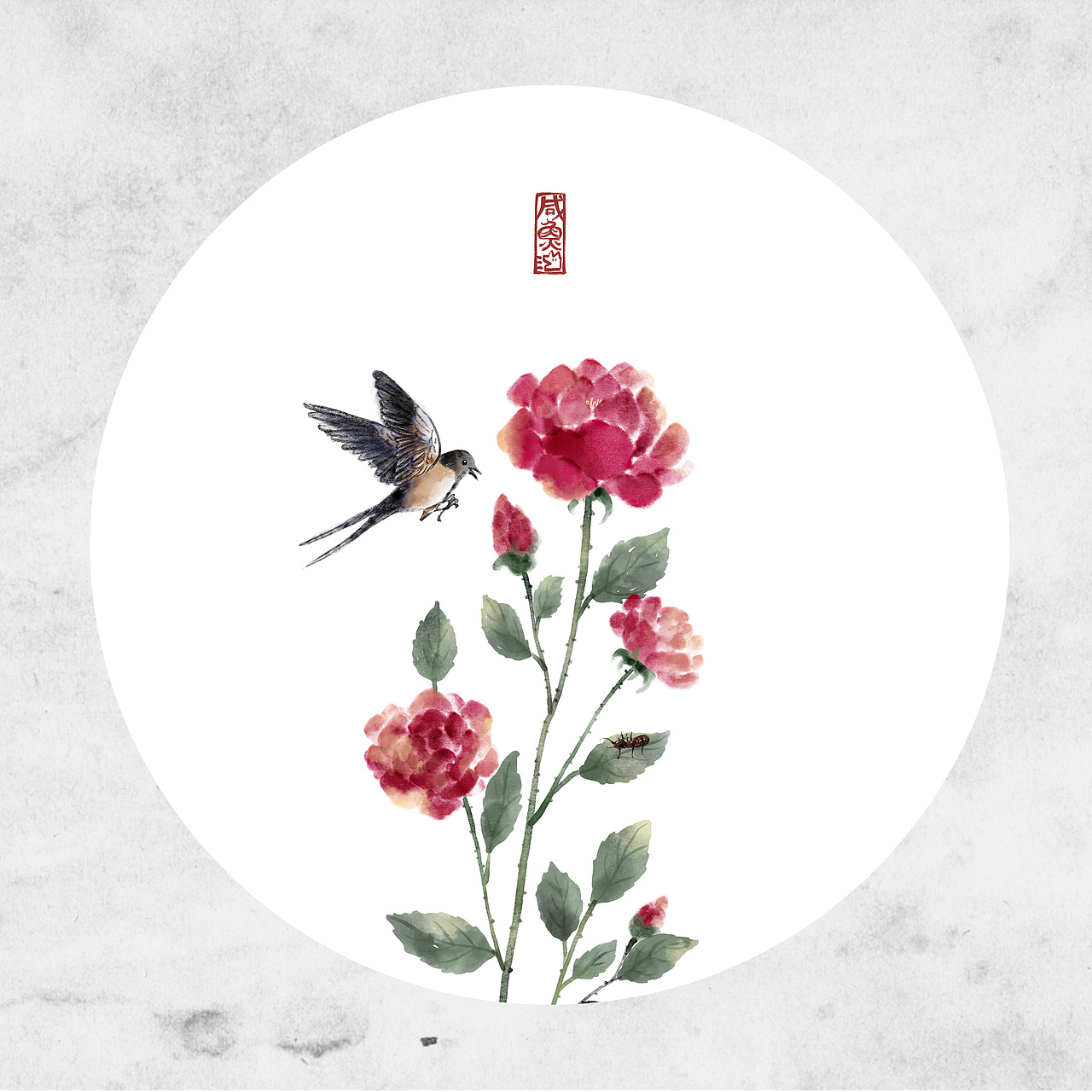 线描植物·云南花草茶包装插画