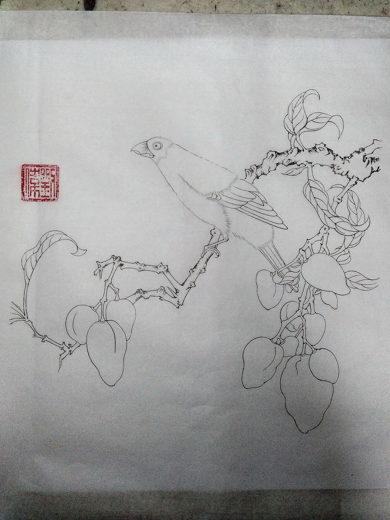 临蜡嘴荔枝图页