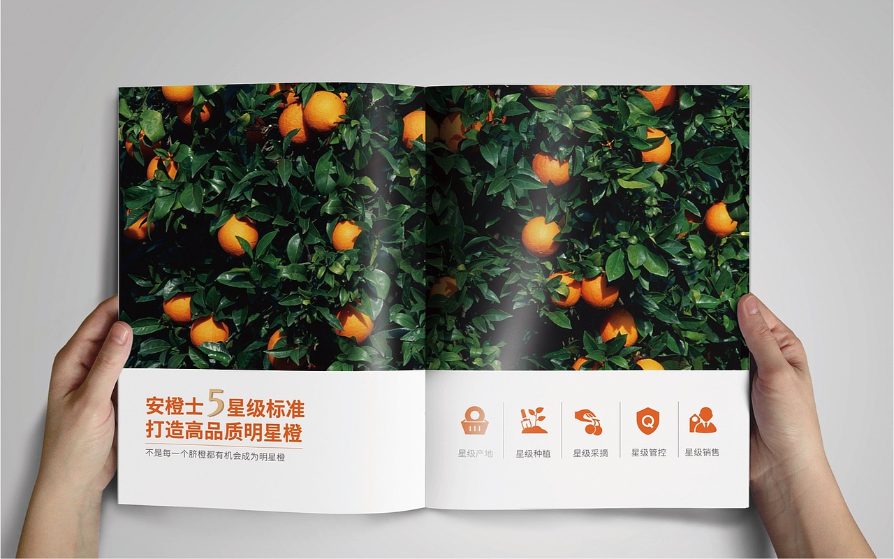品牌物料 | 安橙士品牌画册（图ZMTQyNTY3NTMy） - 书籍/画册 - 站酷设计师天鹏_TP原创素材 - 站酷ZCOOL