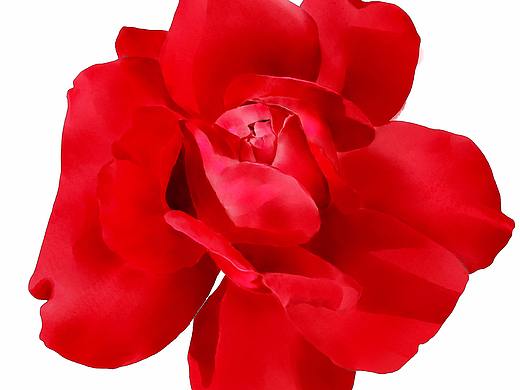 花~（个人主页-ZMjk4MzQxNDQ=） - 创作习作 - 站酷设计师YILAGUANHEFAN原创素材 - 站酷ZCOOL