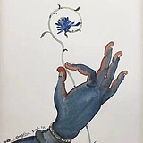 万物类象的头像
