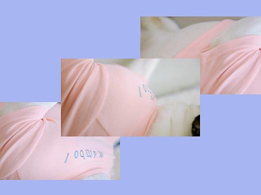 宠物服饰—粉T
