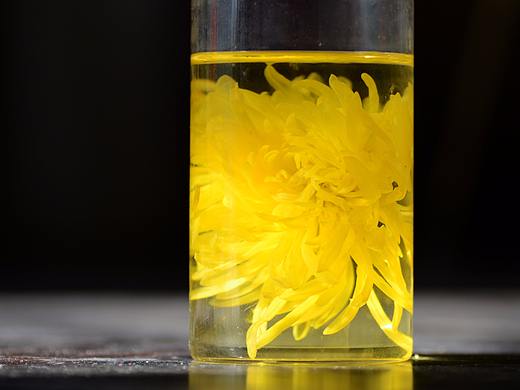 2017年金丝皇菊 十一月拍摄