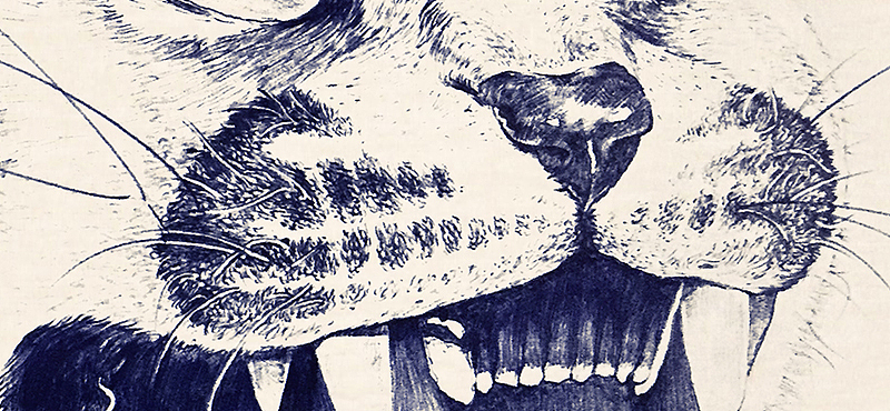 圆珠笔画猫科动物（图ZNDY4NTY5Mjg=） - 艺术插画 - 站酷设计师BIUBIU已经被注册原创素材 - 站酷ZCOOL