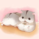 抹茶不加糖的头像
