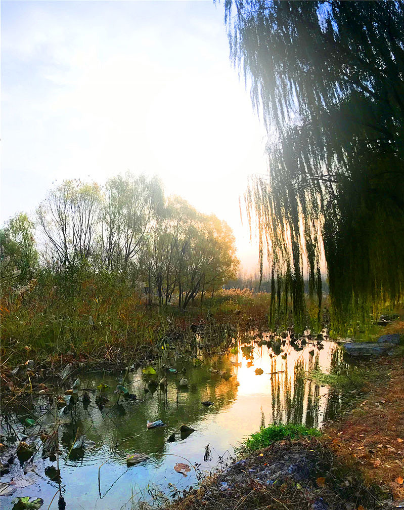 刘勇良手机纪实摄影:北京初冬的早晨