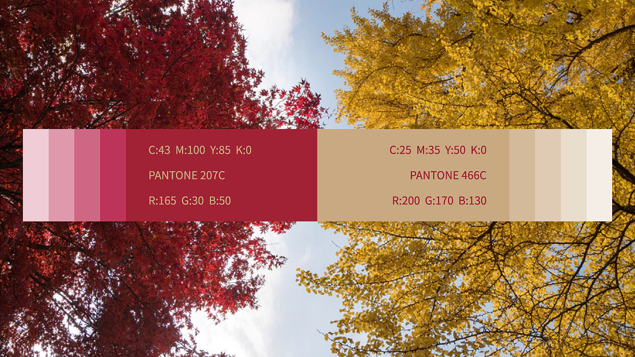 【智驿案例】诗尼曼丨品牌2019形象全新升级