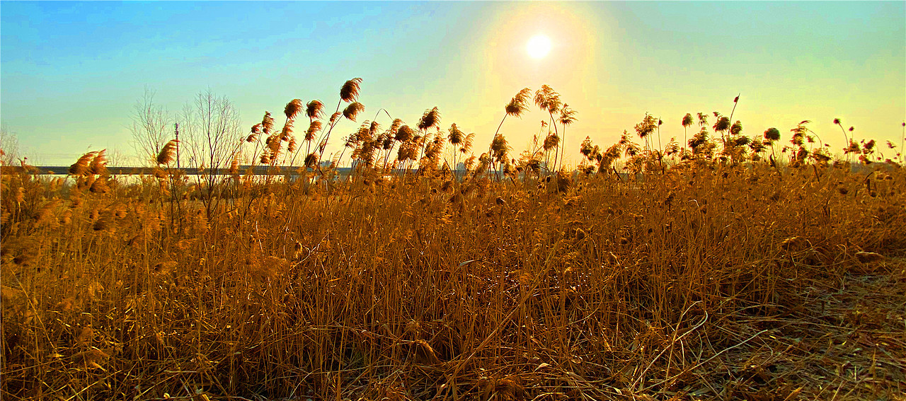 刘勇良手机纪实摄影:静静的早晨