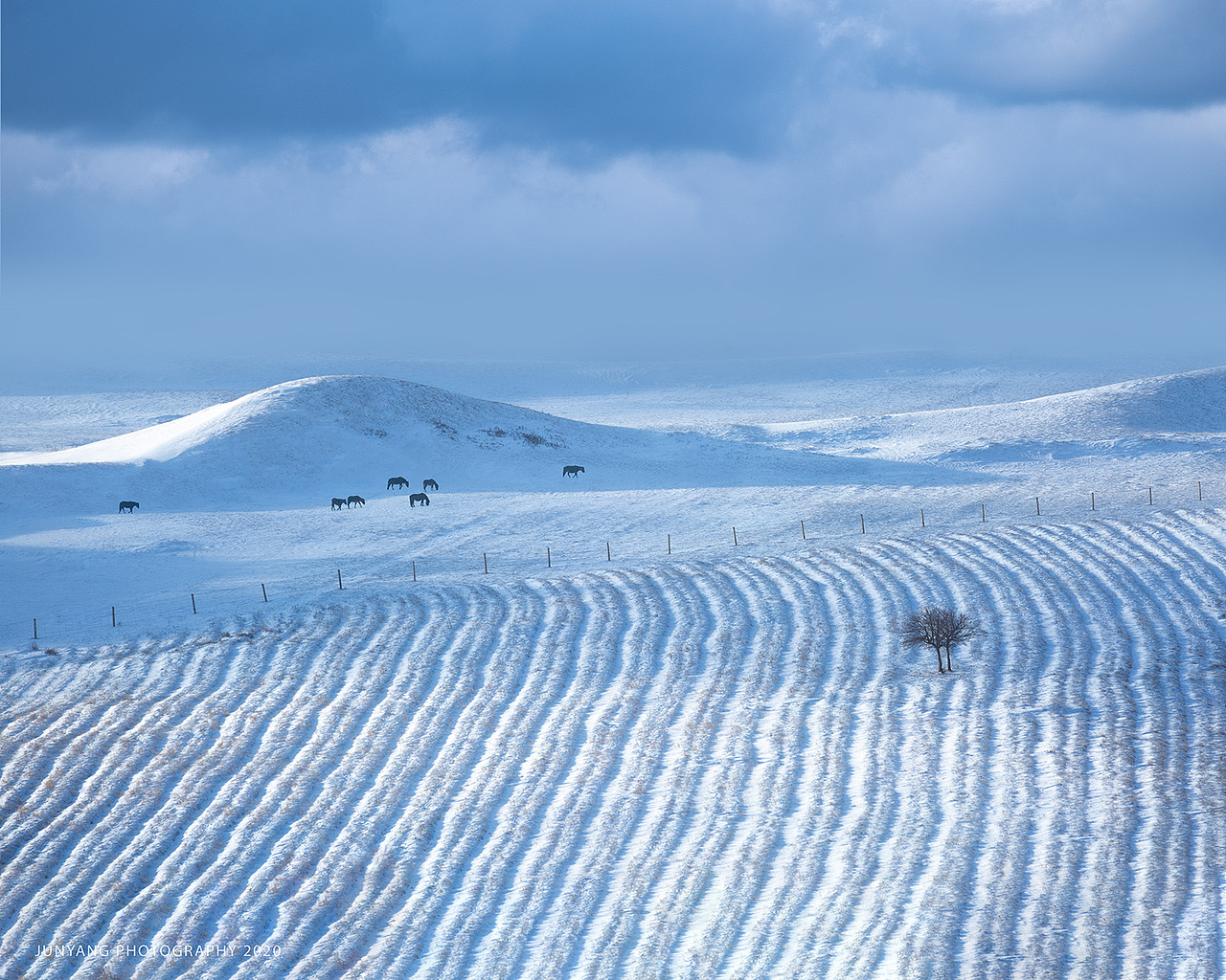 坝上组曲之三（图ZMjAwMzEwOTQ4） - 风光摄影 - 站酷设计师竣阳视界原创素材 - 站酷ZCOOL