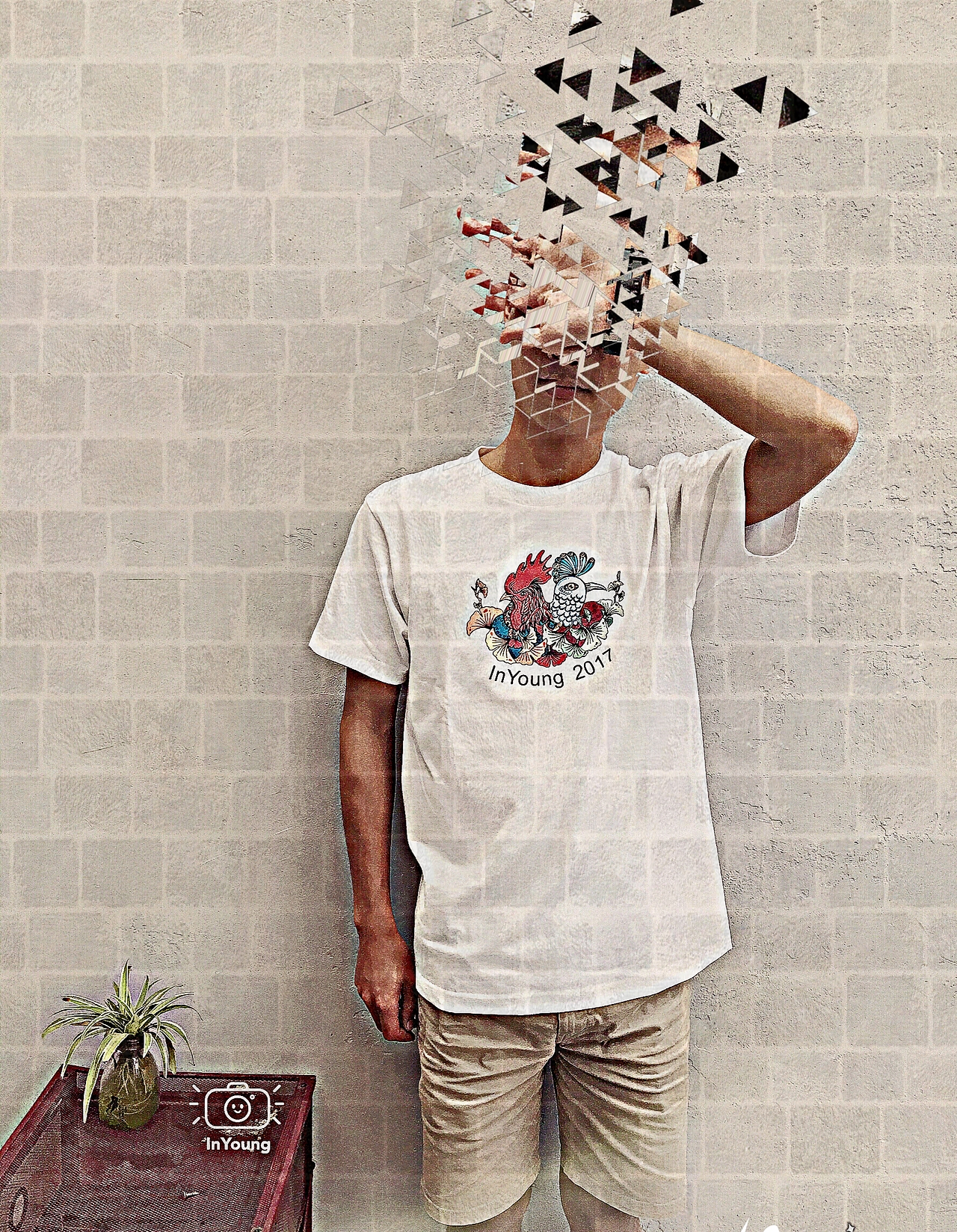 2017鸡年生肖T恤