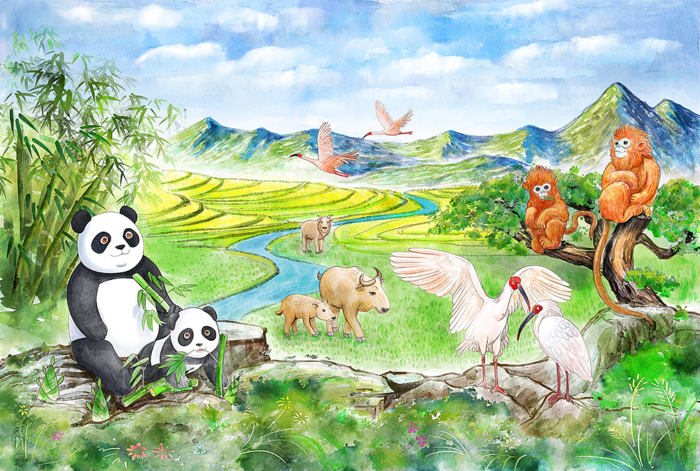 秦岭四宝插图绘制