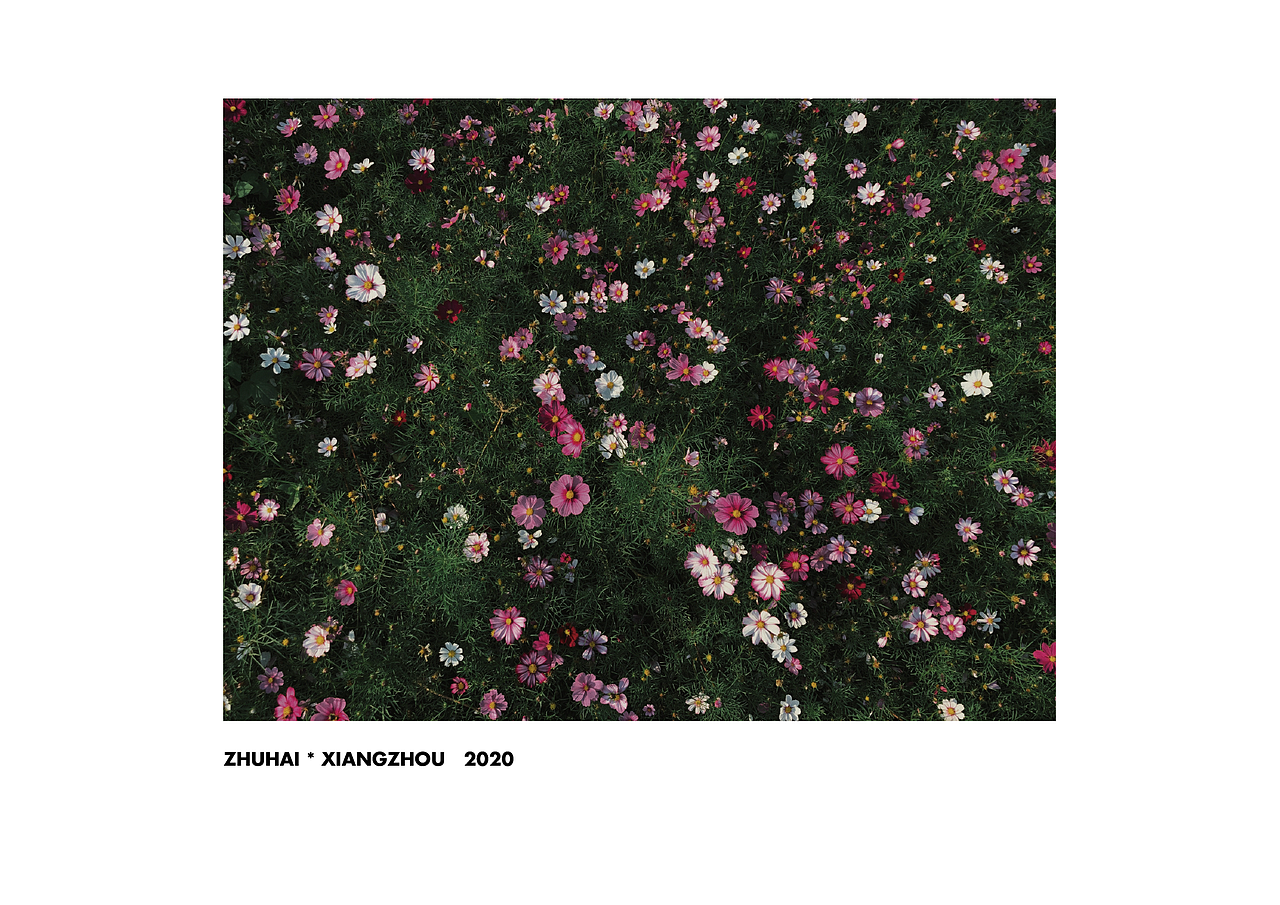 来自2020的手机摄影总结（图ZMjM4OTIzODEy） - 人文/纪实摄影 - 站酷设计师霖马桶原创素材 - 站酷ZCOOL