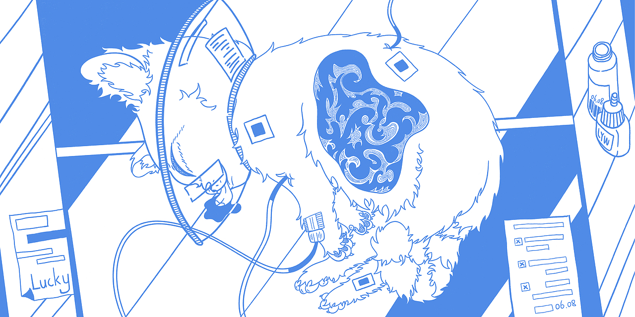 《LUCKY》（图ZMjkxOTIzMjky） - 绘本 - 站酷设计师2L努力努力再努力原创素材 - 站酷ZCOOL